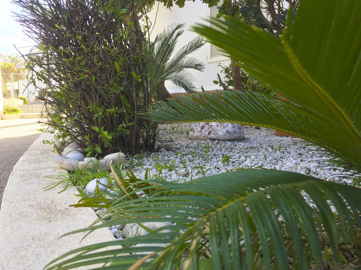 Anacasa Oasis Beach II Marineta Ap2116 Denia Dış mekan fotoğraf